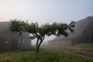 mistige zonsopkomst