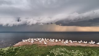 Onweer Helgoland