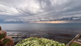 Zwaar onweer