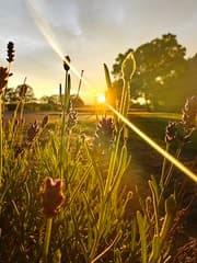 Avondzon in Wesepe (Overijssel)