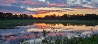 Bij zonsondergang, water blijft langere tijd liggen na aanhoudende buien. 