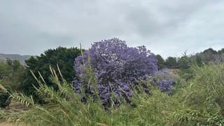 Schoonheid van Nerja