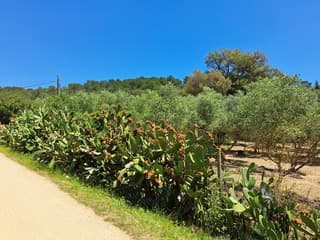 Staalblauwe lucht bij de Costa Brava 