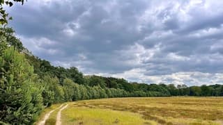 Prima dag voor een wandeling, 