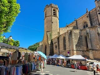 Gezellige markt in het Franse stadje