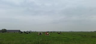 Bewolking boven de landerijen