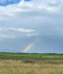 Het regent regenboogstralen