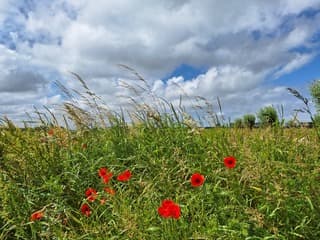 Zon, wolken en een lekker windje, heerlijk weer in het Zeeuwse