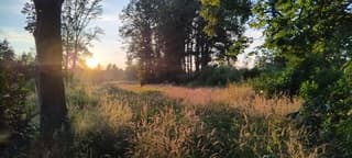 Avondwandeling zammels broek