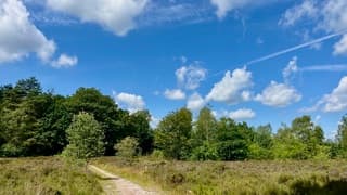 Rust en ruimte…één met de natuur. Wat een prachtige wandeldag.