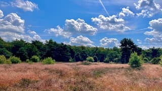 Rust en ruimte…één met de natuur. Wat een prachtige wandeldag.