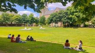 Druk in het park, lekker onder de bomen in de schaduw