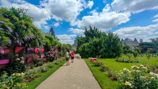 Mooie zomerdag in de rozentuin met 25 gr 
