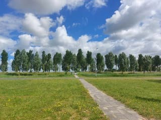 WOLKENLUCHT BOMENRIJ. 