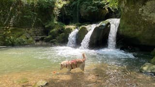 Verkoeling op een warme dag in Luxemburg