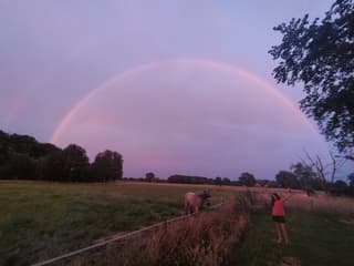 Regenboog 2