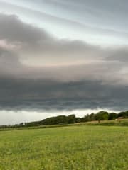 Shelfcloud