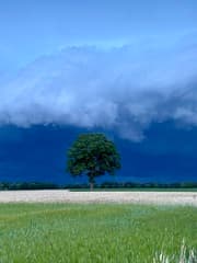 Stilte voor de storm
