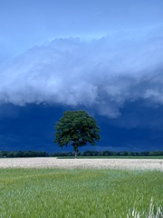 Stilte voor de storm