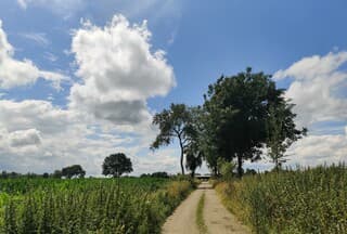 Na de buien mooi zonnig.