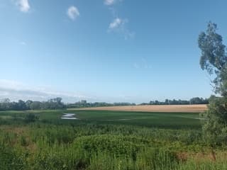 Maisvelden onder water