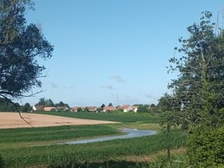 Maisveld onder water