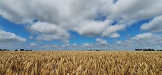 Blauw bewolkte lucht