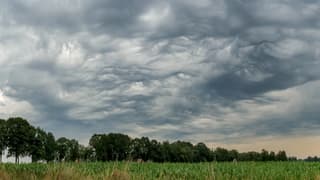 Undulatus Asperitas wolken.