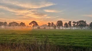 Een mooi begin van de dag.