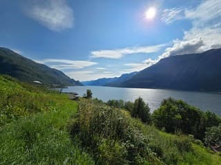 Prachtige dag in Lofthus