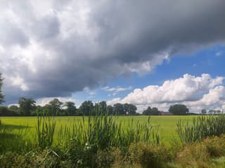 Bui op komst