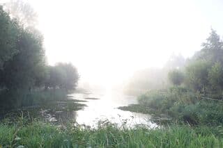 Mist in de vroege ochtend, te Avenhorn