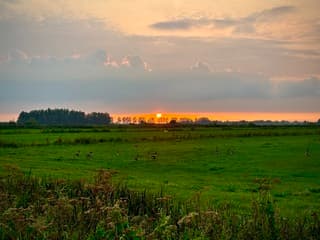 Zonsondergang Kamerik