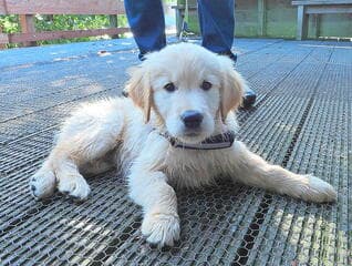 Gijs nog lekker jong !