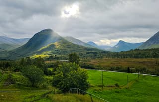 Stukje vrolijkheid in de grijze massa 