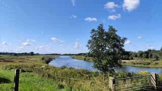 Maas kronkelt door landschap.