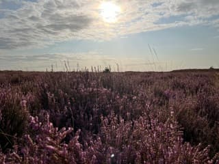 Zon in gevecht met de wolken 