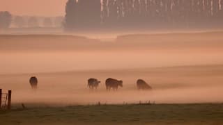 Frisse start van de dag 