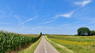 Zomerse lucht