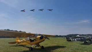 80 jaar bevrijding België 