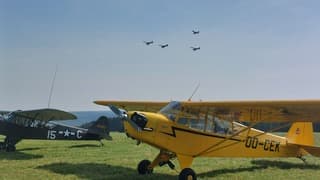 80 jaar bevrijding België 