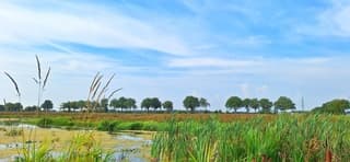 Blauw bewolkte lucht boven Drenthe
