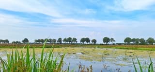 Blauw bewolkte lucht boven Drenthe