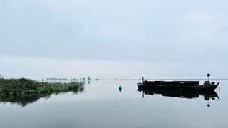 Tamara Noordermeer Laan - Langehoekspolle