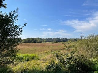 Kampsheide - Drentse Aa