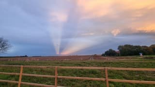 Zonnemaire , avondfoto naar het oosten gericht 