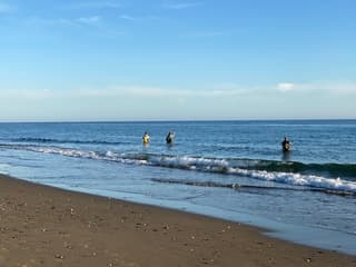 Vitamine Zee in Marbella