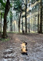 Frisse herfstochtend