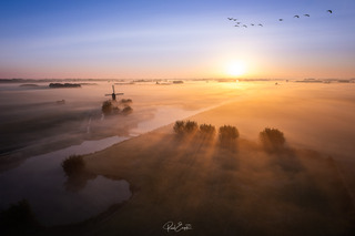 De Uitwijkse Molen in de Mist