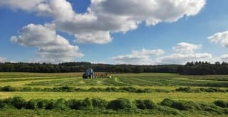 Nog snel even maaien 